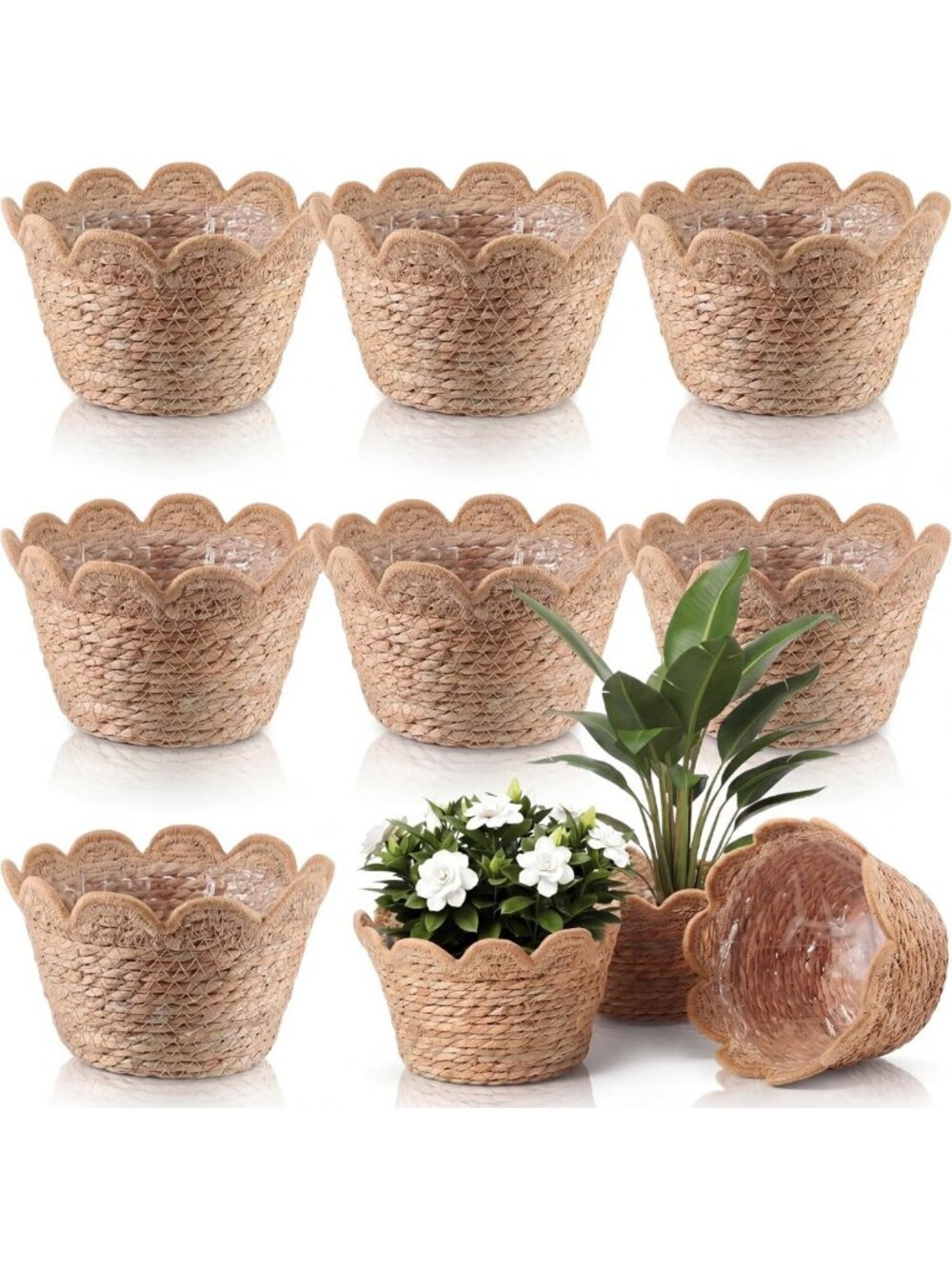 9-Piece Scalloped Seagrass Plant Basket Set - Medium Brown Home Decor